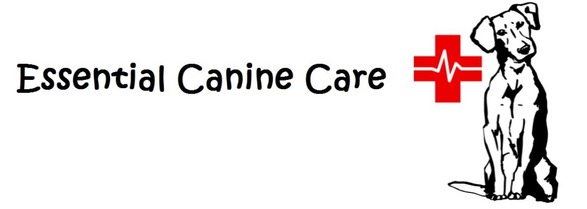 Essential Canine Care